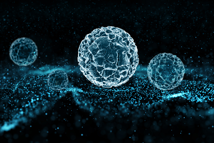 Nanomaterials for a Sustainable Future