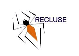 Recluse Softwares